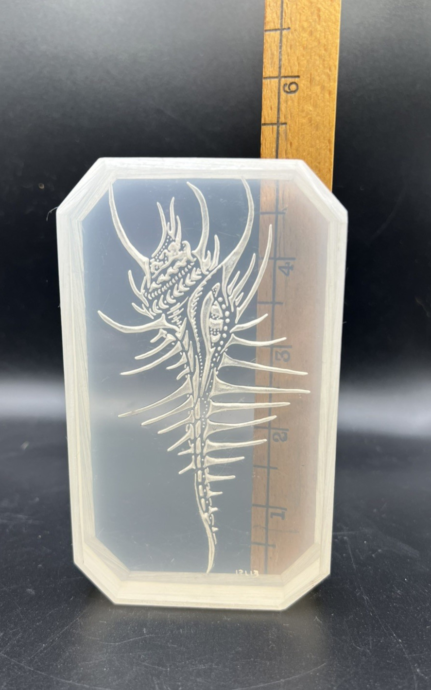 Vintage Lucite Acrylic Reverse Carved Venus Comb Murex Shell, Cool Art Piece!