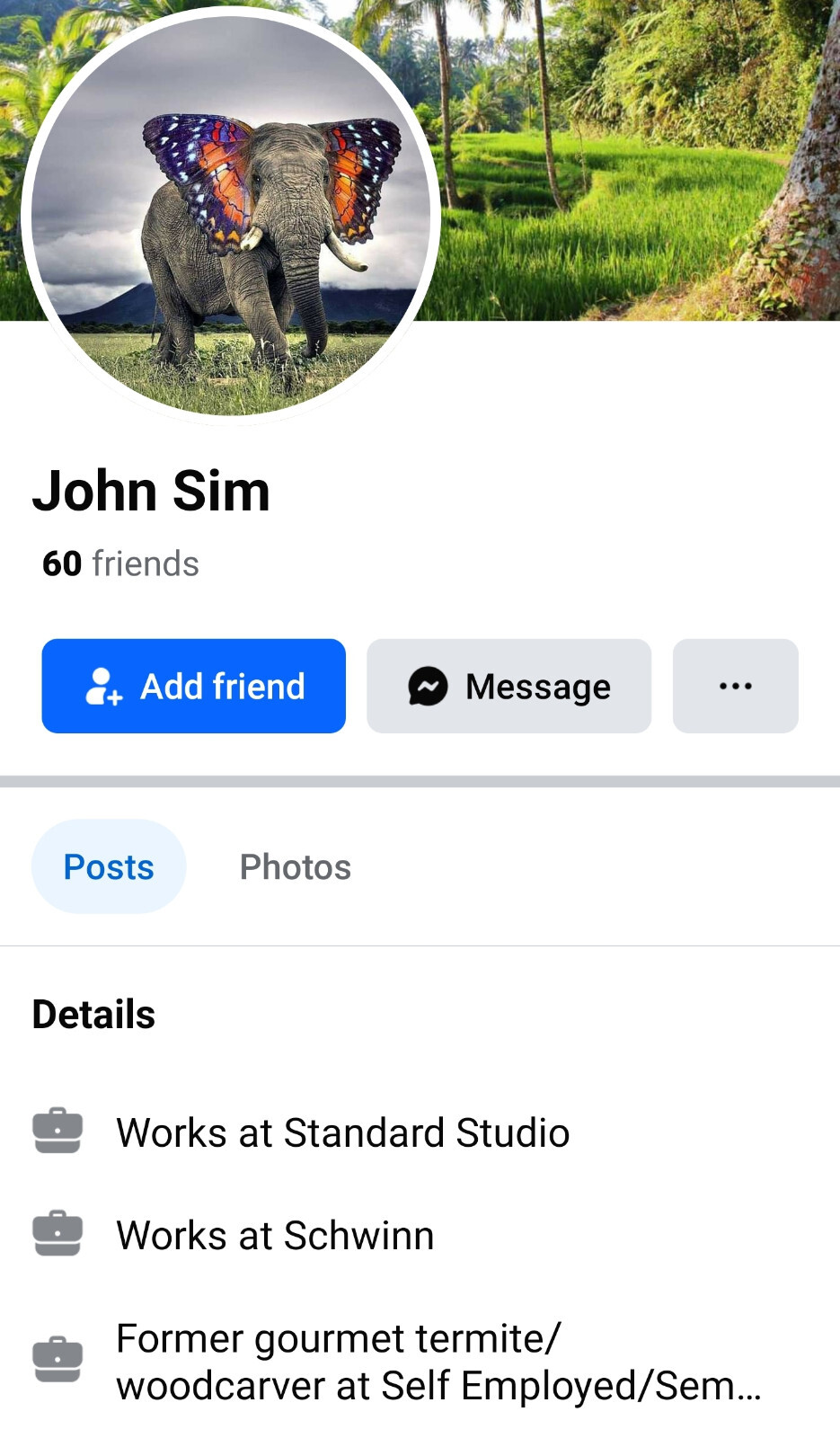 JOHN SIM – b. INDONESIA d. 2018 OCALA, FL – MASTER WOODCARVER – « BRAYING HORSE »