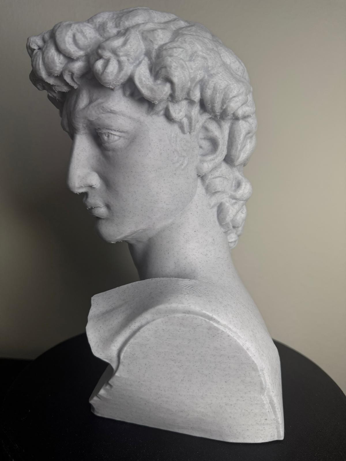 David (Michelangelo) Marble-Style Bust – 3D Printed Sculpture – Classical Art