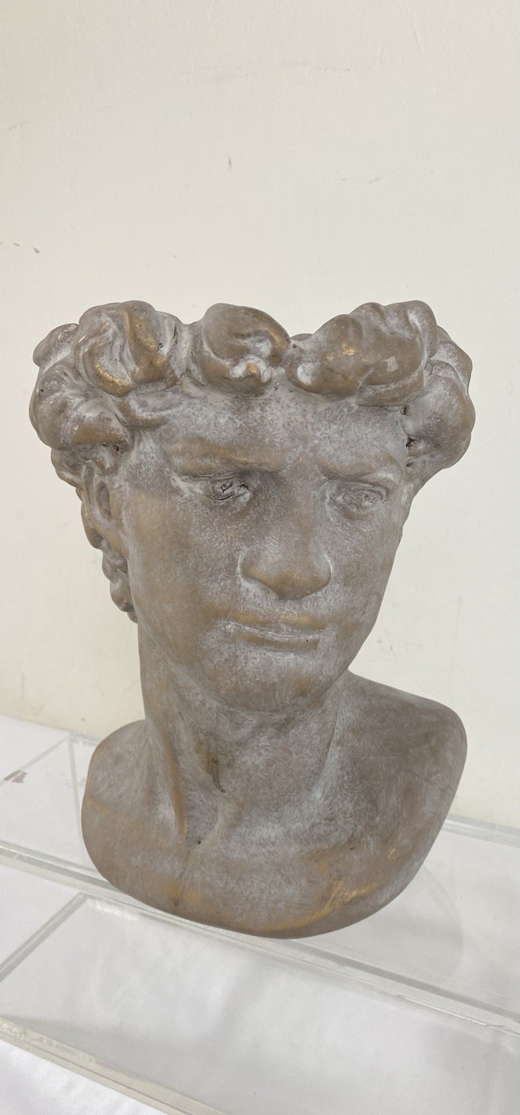 Bust Of Michelangelo’s David Statue Heavy Sculpture Bronze Patina Paster Modern