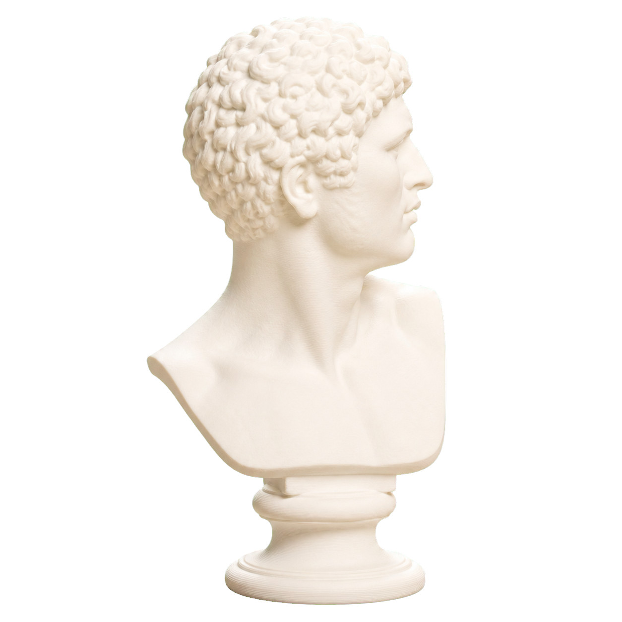 Head of a Man Collectible Bust Statue – 5, 9, 12 Inch