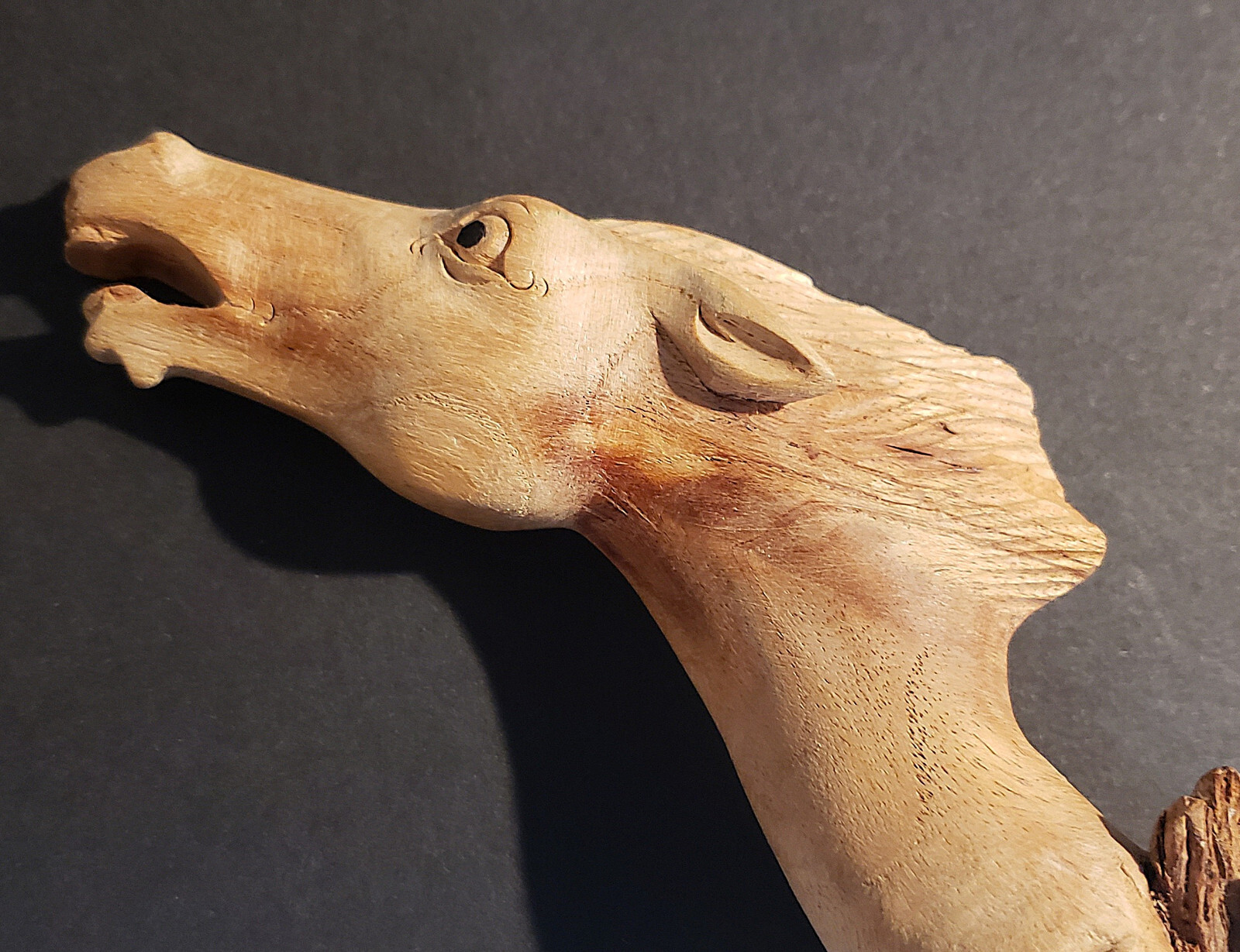 JOHN SIM – b. INDONESIA d. 2018 OCALA, FL – MASTER WOODCARVER – « BRAYING HORSE »