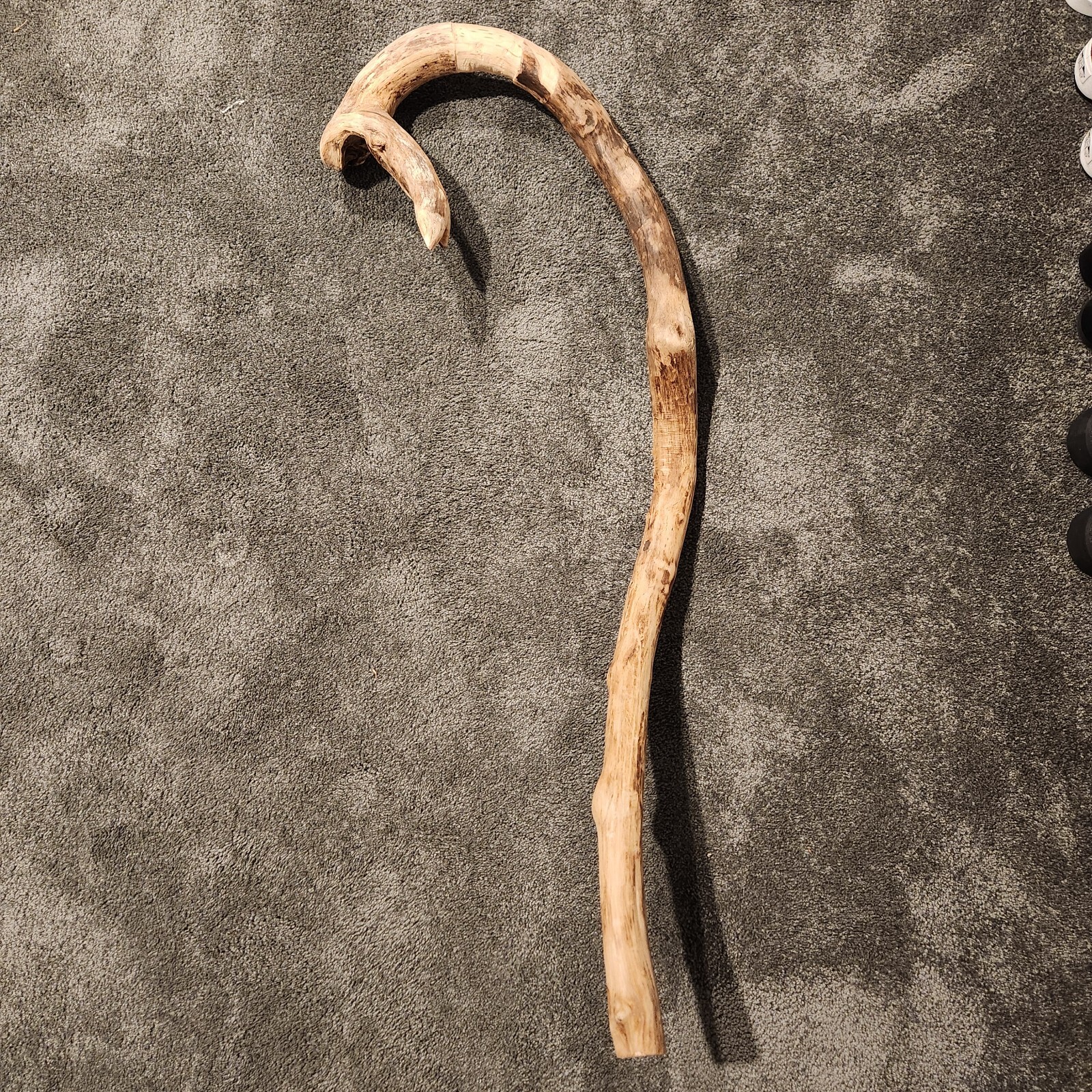 One of a Kind 38&Prime; Driftwood Naturally Cane Shaped