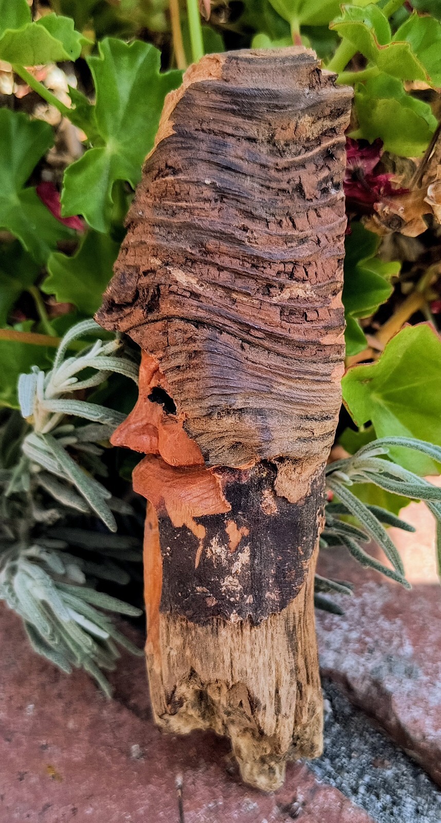Wood Spirit Carving- pine knot sculpture- Tree People- Forest Wizard- Folk Art