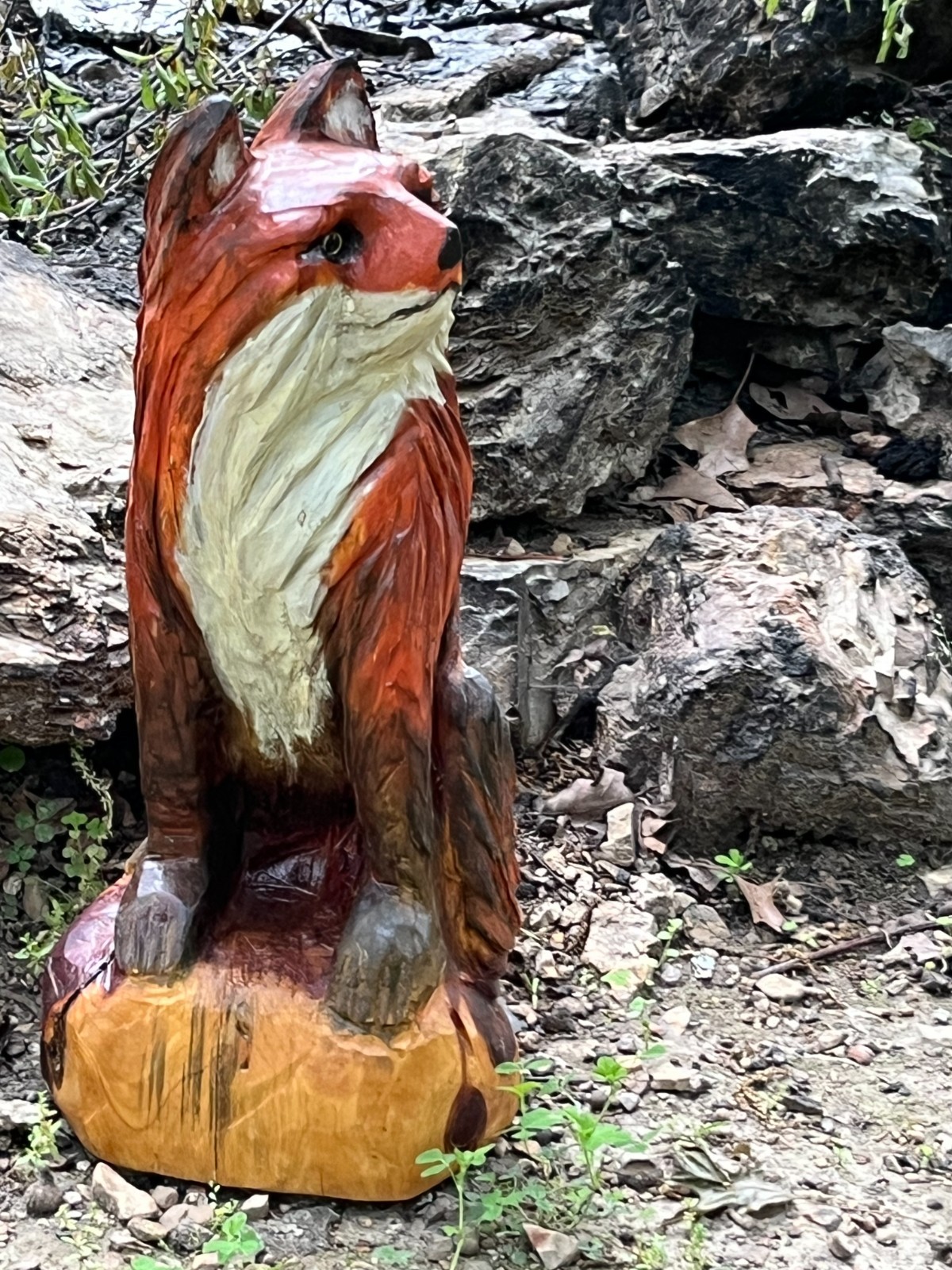 Red Fox Silver Sly Sculpture Statute Chainsaw Carving Totem Pole Art Cedar Wood