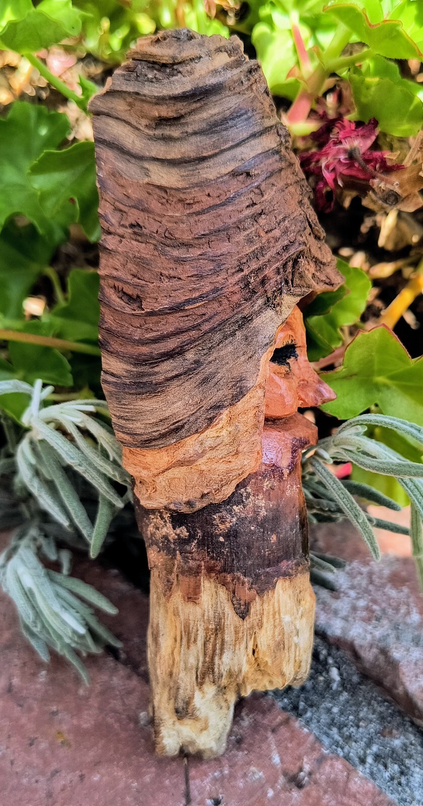 Wood Spirit Carving- pine knot sculpture- Tree People- Forest Wizard- Folk Art