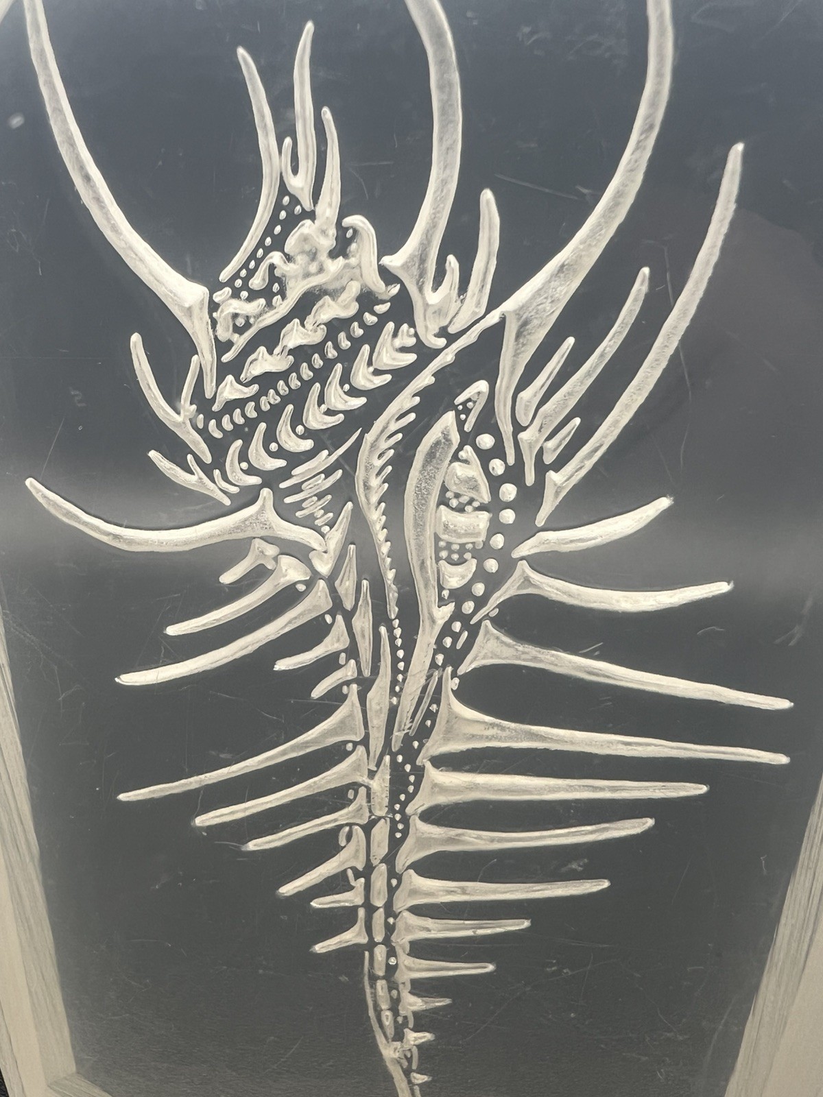 Vintage Lucite Acrylic Reverse Carved Venus Comb Murex Shell, Cool Art Piece!