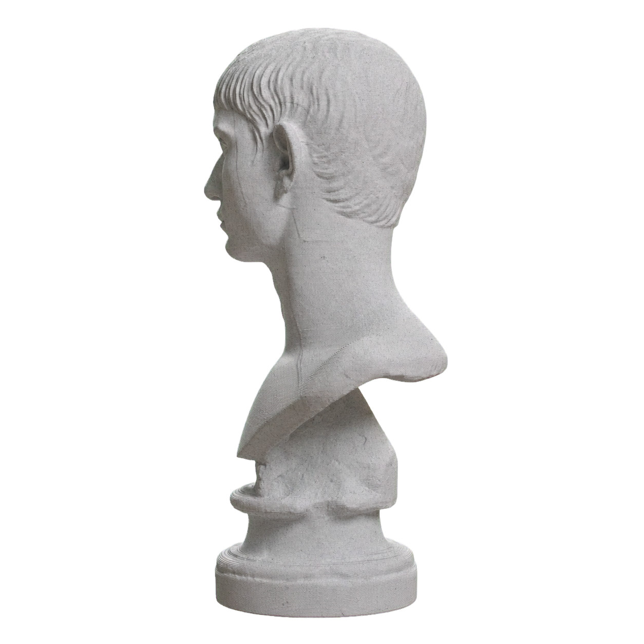Young Man with Short Hair Collectible Bust Statue – 5, 9, 12 Inch