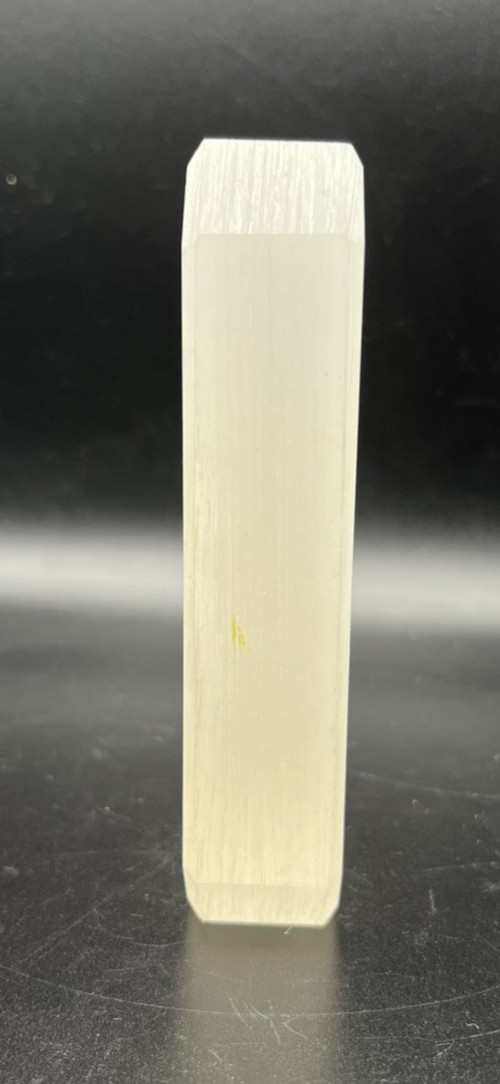 Vintage Lucite Acrylic Reverse Carved Venus Comb Murex Shell, Cool Art Piece!