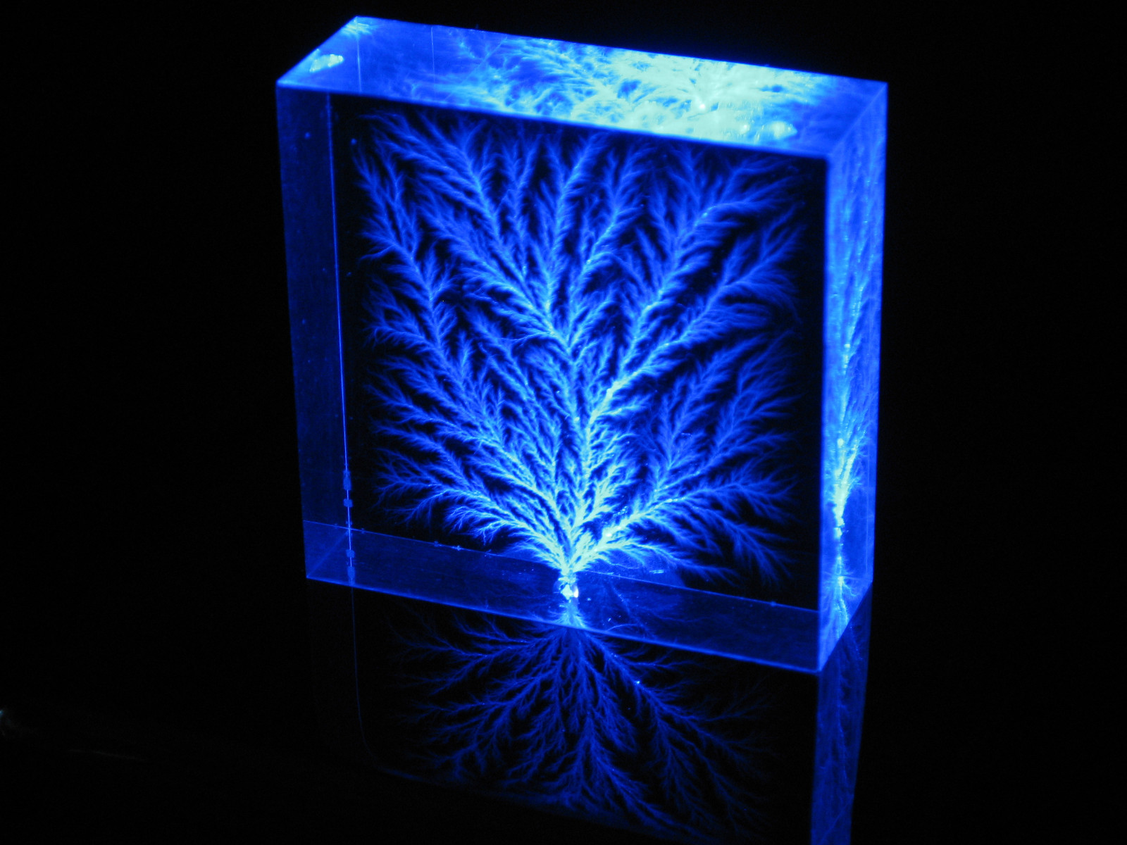 2&Prime; x 2&Prime; x 3/4&Prime; Captured Lightning Edge Lichtenberg Figure Beam Tree Sculpture