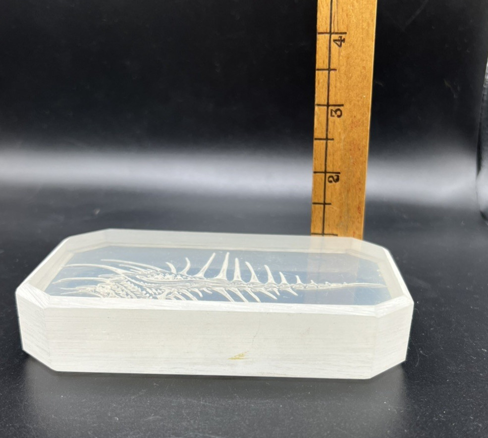 Vintage Lucite Acrylic Reverse Carved Venus Comb Murex Shell, Cool Art Piece!