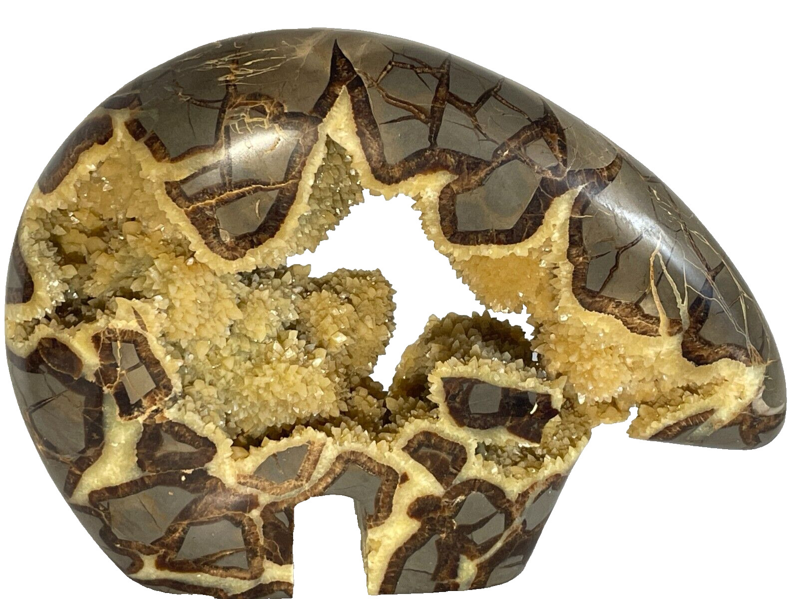 VIN.1990&rsquo;s ZUNI LARGE SEPTARIAN GEODE WALKING BEAR 9.5&Prime; X 6,5&Prime; X 2.25&Prime;~5.260 LB