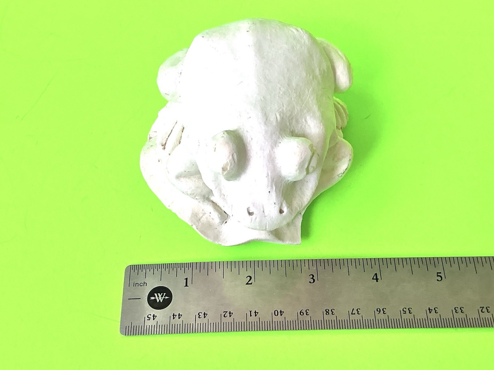Frog Sculpture Alabaster Resin Cream Colored Vintage 3.5×3.5