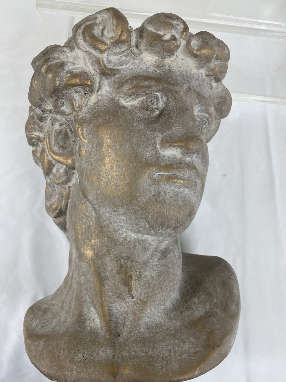 Bust Of Michelangelo’s David Statue Heavy Sculpture Bronze Patina Paster Modern