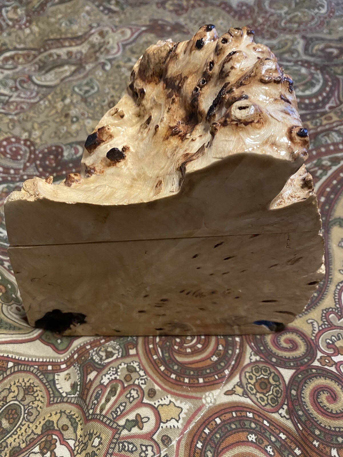 Exotic Buckeye Burl Root Stash Trinket Box carved signed artist seller