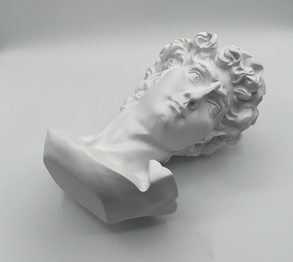 David Man Bust Statue White