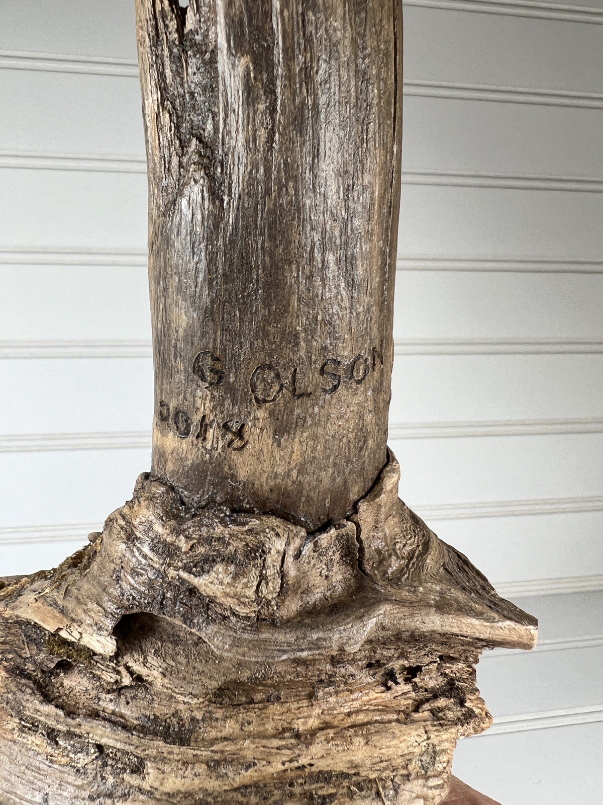 Driftwood Art Spirit Hand Carved Unique Face Home Decor Signed G OLSON 2018