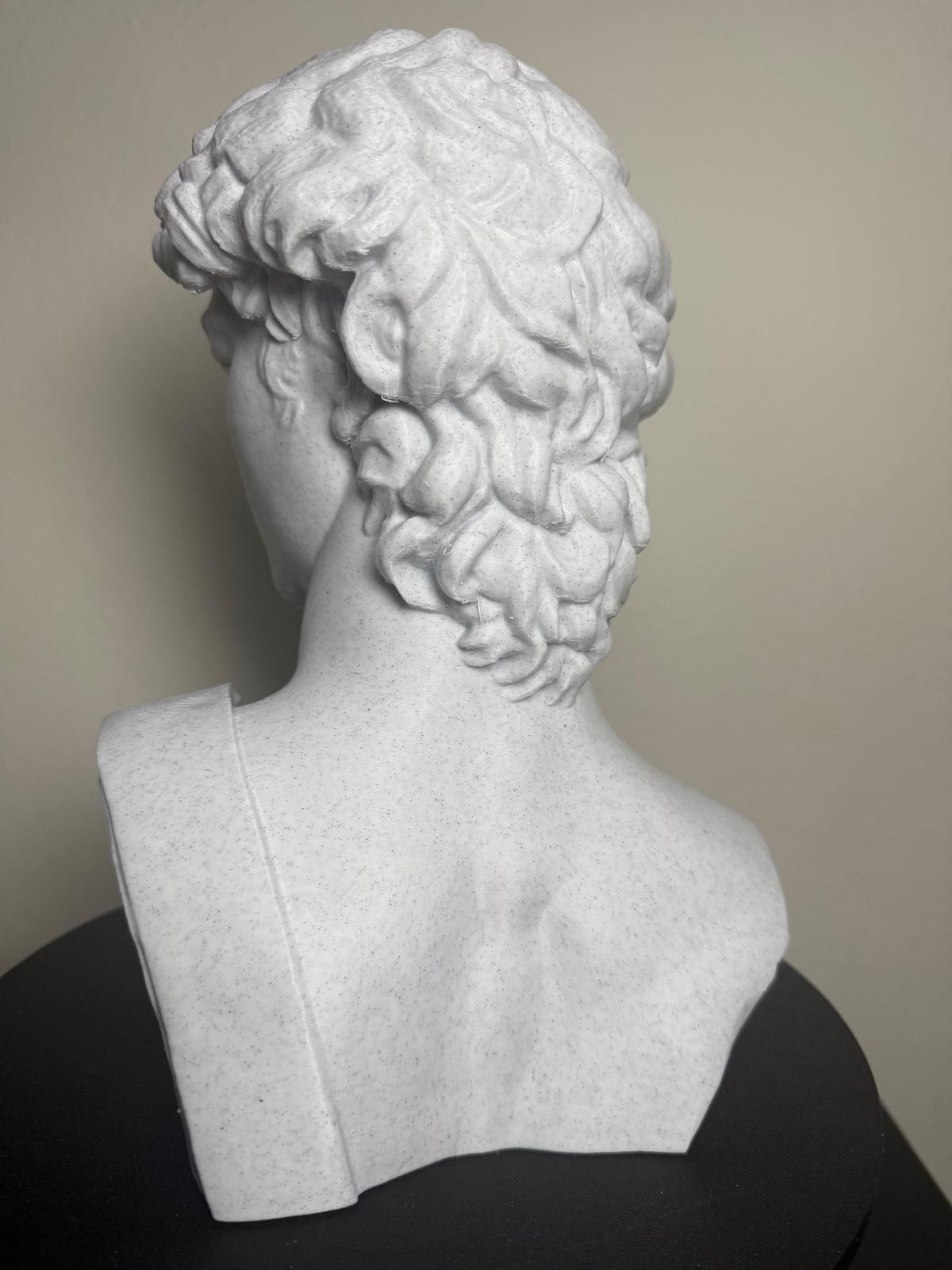David (Michelangelo) Marble-Style Bust – 3D Printed Sculpture – Classical Art