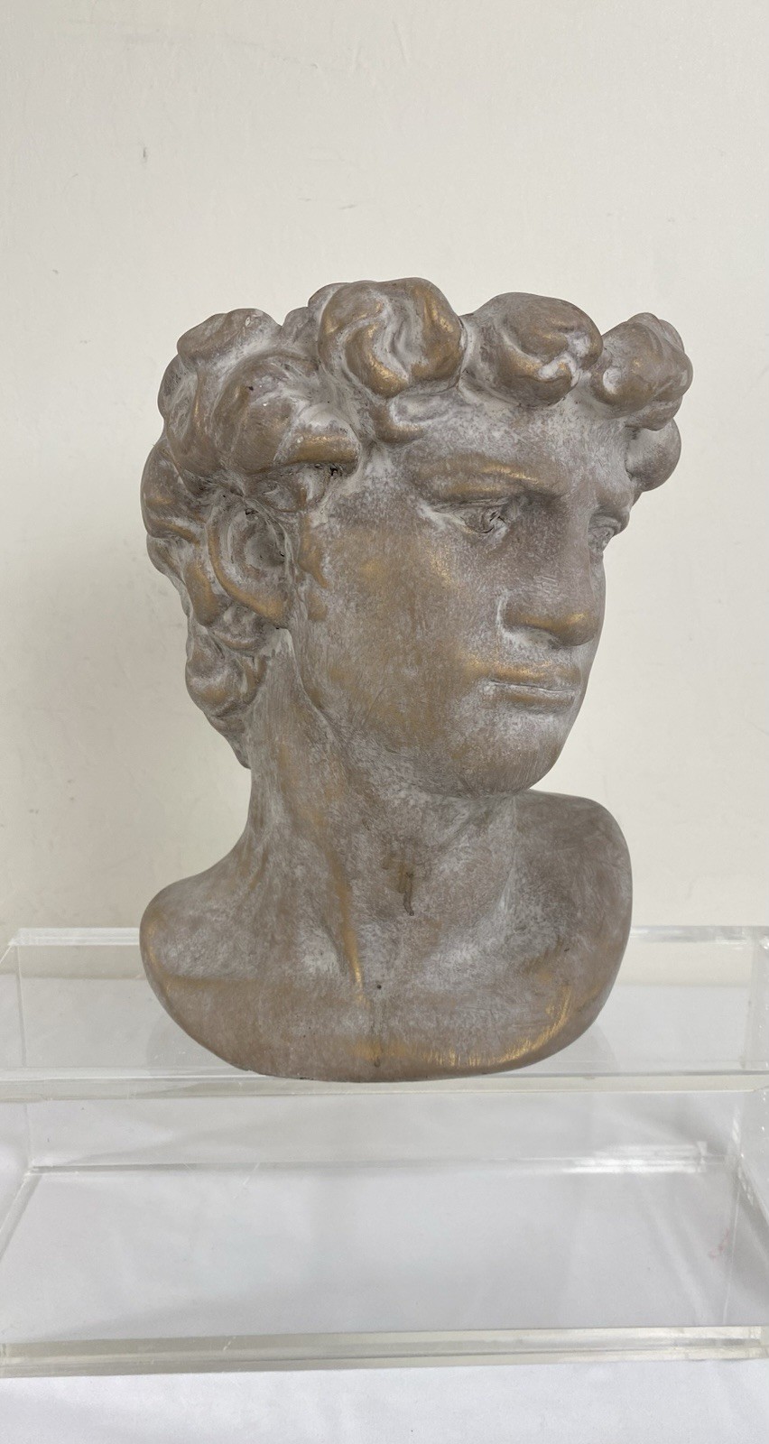 Bust Of Michelangelo’s David Statue Heavy Sculpture Bronze Patina Paster Modern