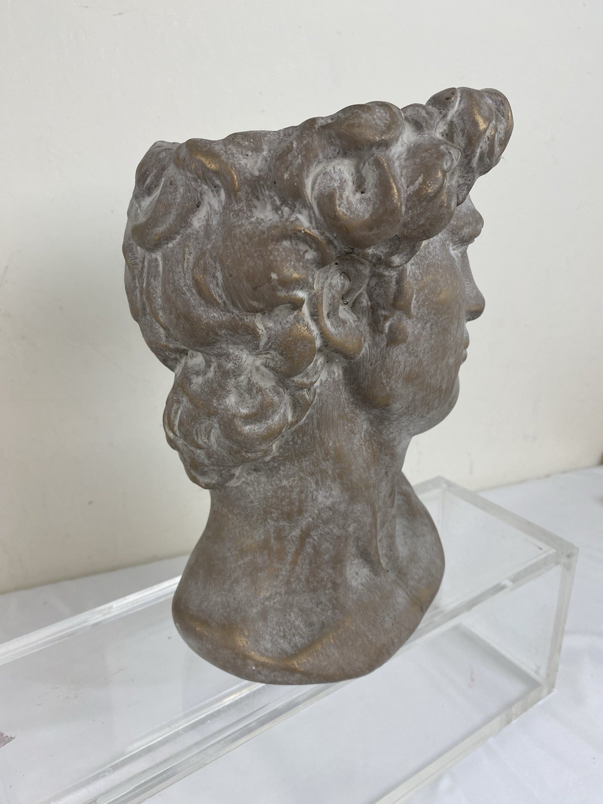 Bust Of Michelangelo’s David Statue Heavy Sculpture Bronze Patina Paster Modern