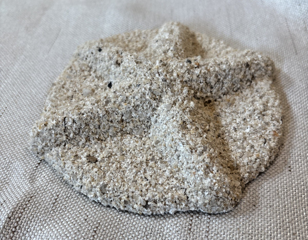 VTG Sand Reflections Cast Stone Starfish Wall Mount Garden Decor 5&Prime; Hilton Head
