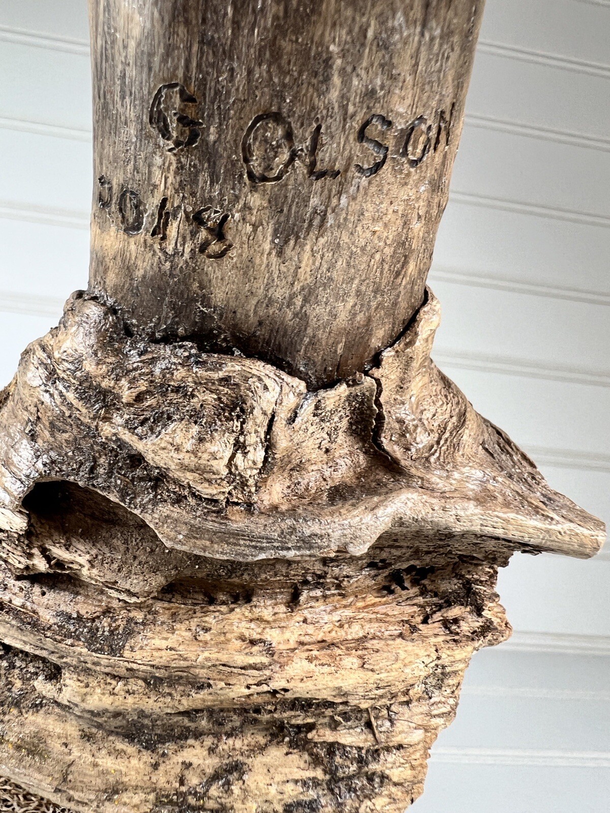 Driftwood Art Spirit Hand Carved Unique Face Home Decor Signed G OLSON 2018